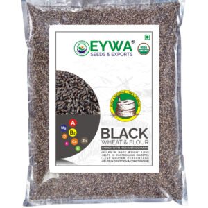 Black Wheat Grains