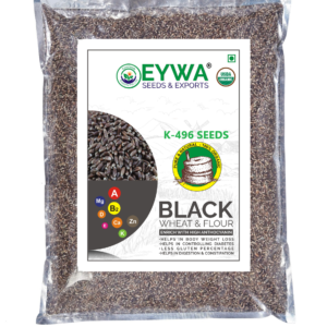 Black Wheat Seeds