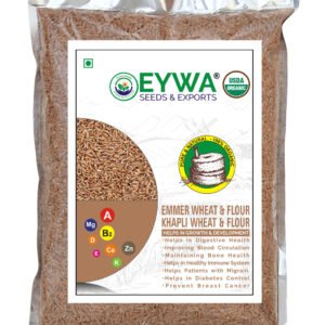 Khapli Wheat Grains