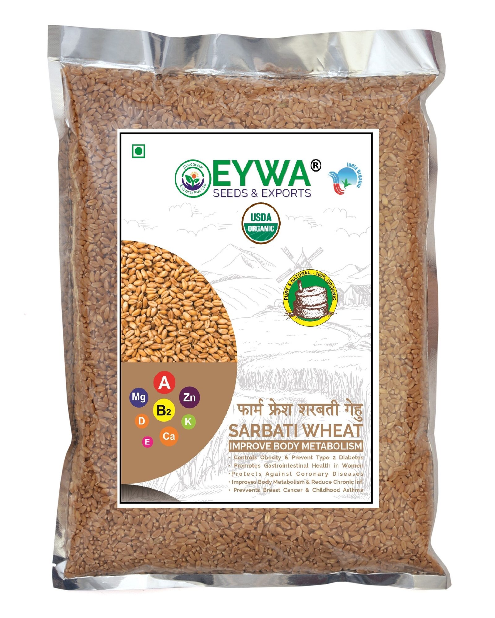 Sharbati Wheat Grains