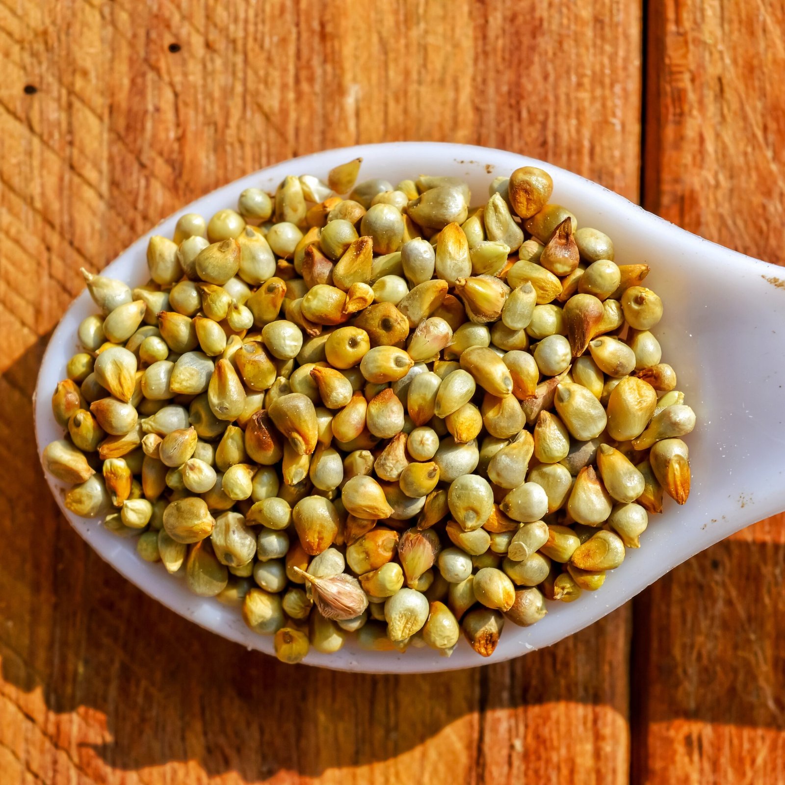 Bajra Grains - Image 3