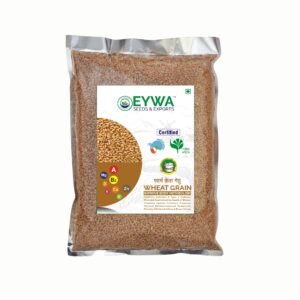 Wheat Grains