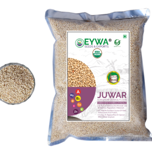 Organic White Sorghum Grains