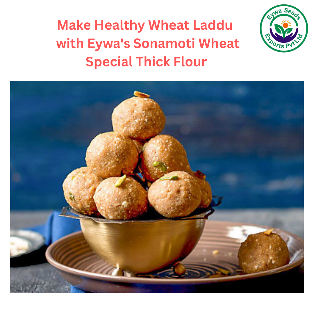 Sonamoti Ancient Wheat Thick Flour - Image 6